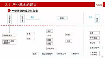 產(chǎn)業(yè)基金的建立、投資、投后管理與風(fēng)險(xiǎn)控制及投資管理與咨詢